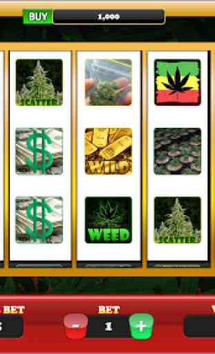 Slots Weed Marijuana Casino 3