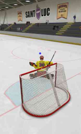 Virtual Goaltender 2