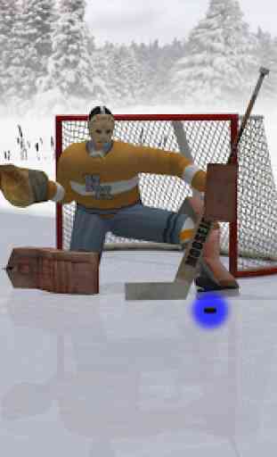 Virtual Goaltender 3