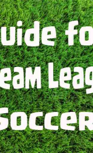 Cheats for Dream League Soccer 4