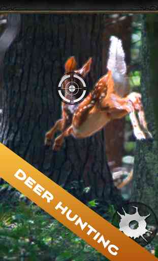 Deer Hunter : Hunting Deer 1