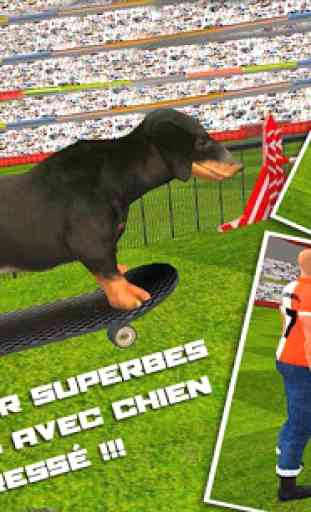 Dog Stunt Spectacle Simulateur 1