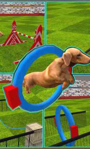Dog Stunt Spectacle Simulateur 3