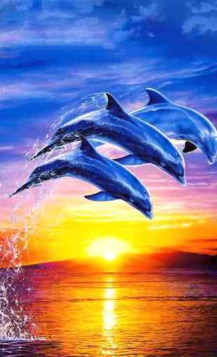 Dolphin Wallpaper 3D FREE 1
