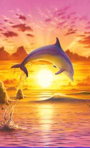 Dolphin Wallpaper 3D FREE 2