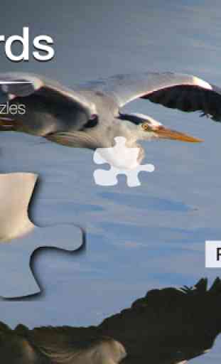 Lake Bird Jigsaw Puzzles 1