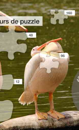 Lake Bird Jigsaw Puzzles 2