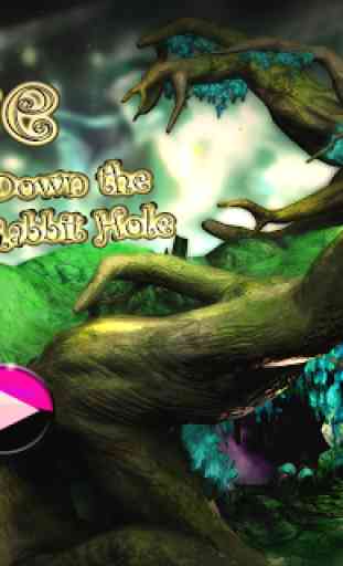 Alice Down the Rabbit Hole 3