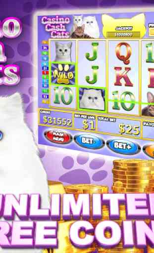 Casino Cash Cats Kitty Slots 1