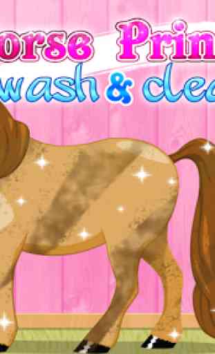 cheval princesse & nettoyage 1