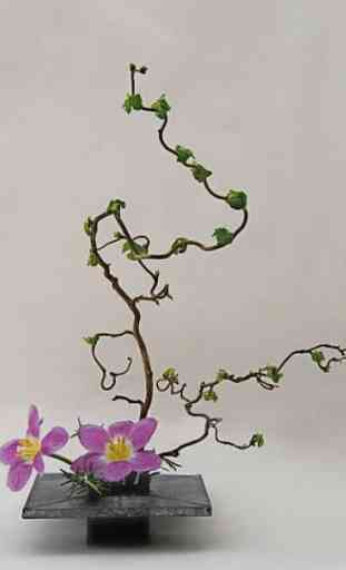 conception florale Ikebana 3