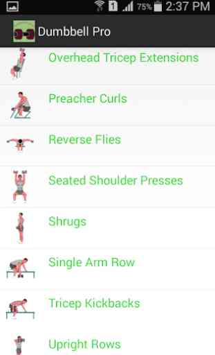 Dumbbell Workout Exercises 4