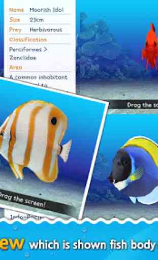 Fish Aquarium Game - 3D Ocean 4