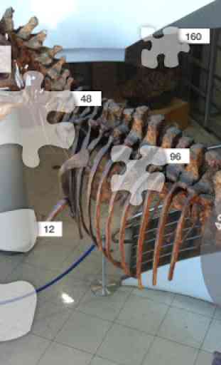 Jigsaw Puzzles: Dino Fossils 2