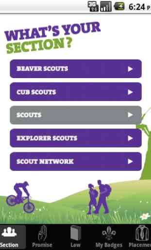 My Badges - UK Scout Programme 1