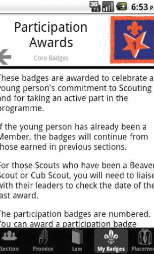 My Badges - UK Scout Programme 3