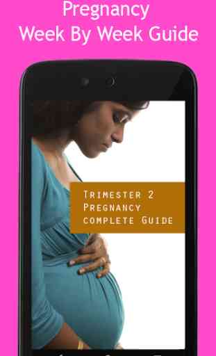 Pregnancy Week By Week Guide 3
