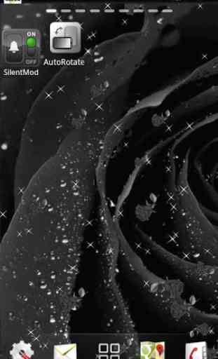 rose noire lwp 1