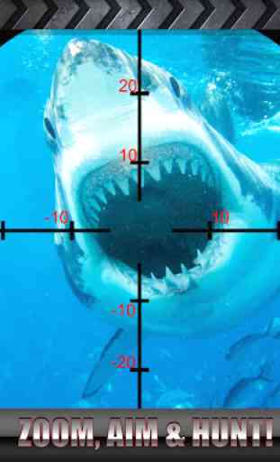 Shark colère Fishing World 3