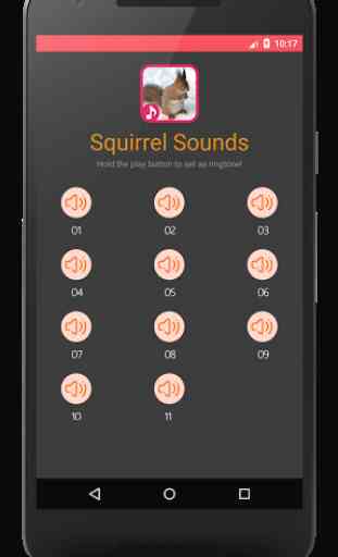Squirrel Sounds 1