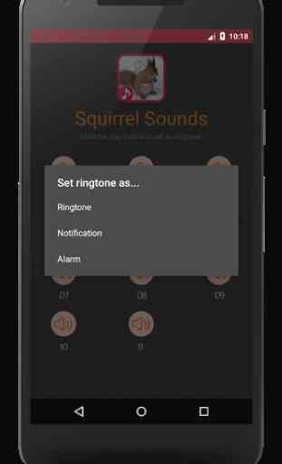 Squirrel Sounds 2