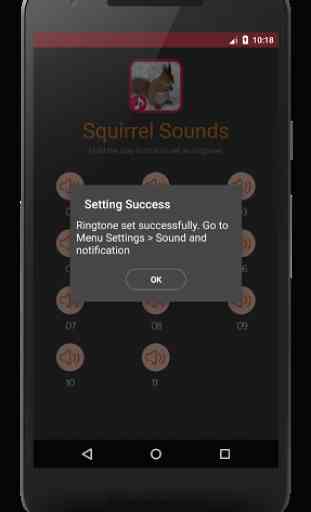 Squirrel Sounds 3