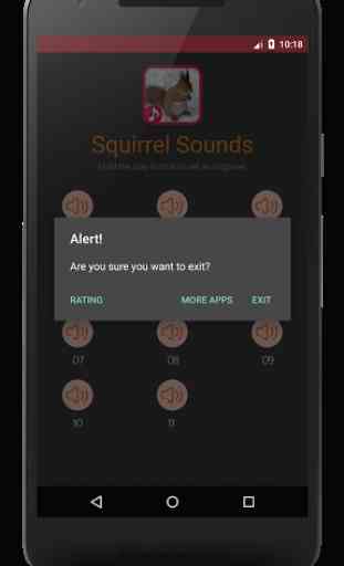 Squirrel Sounds 4