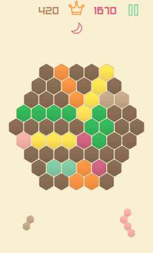 1010 Hexagon Grid Fit Puzzle 2