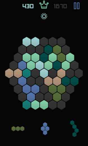 1010 Hexagon Grid Fit Puzzle 3