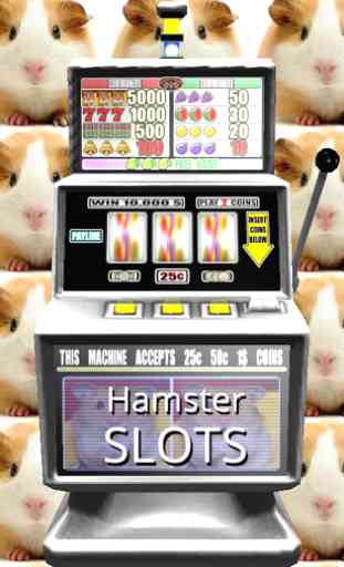 3D Hamster Slots - Free 1