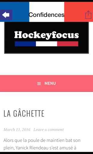 Hockeyfocus.fr 4