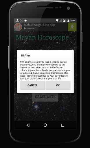 Mayan Horoscope 4