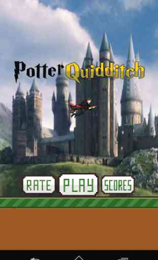 Potter Quidditch 1