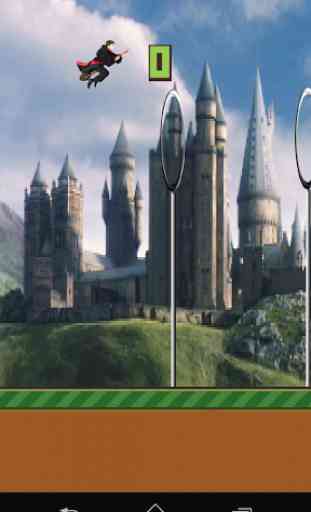 Potter Quidditch 2