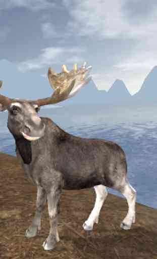 Arctic Moose 3
