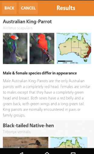 Aussie Bird Count 4