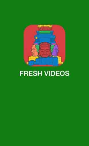 Fresh Videos 1