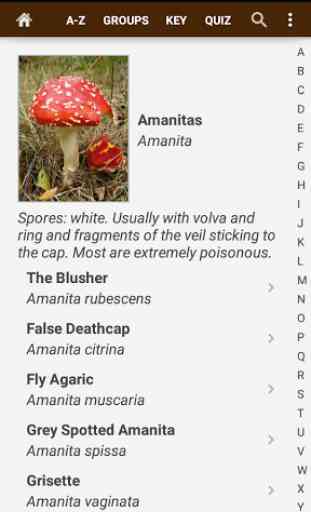 Fungi of Britain 2