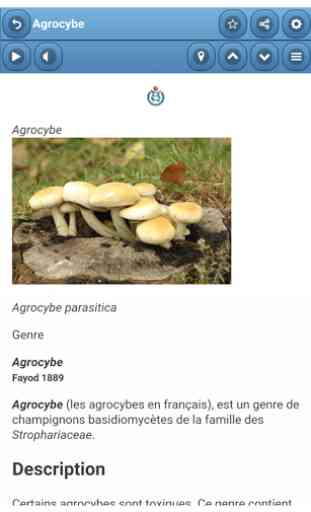 Genera des champignons 2