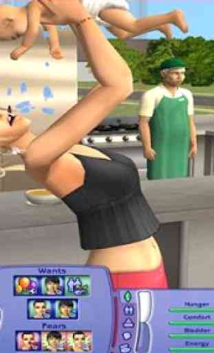 Guide The Sims 2 2