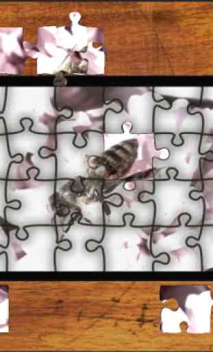 Jigsaw Puzzle Flower World 2
