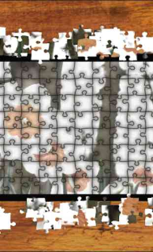 Jigsaw Puzzle Flower World 3