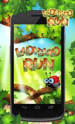 Ladybird Run (Coccinelle) 1