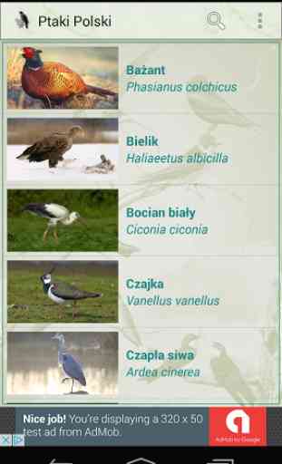Ptaki Polski 1