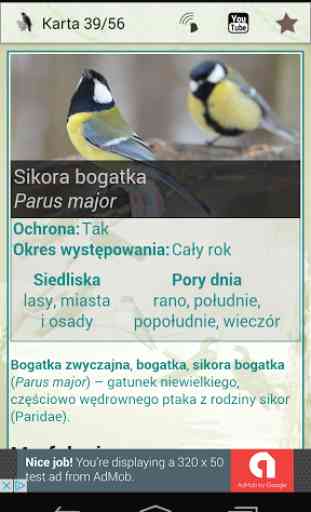 Ptaki Polski 4