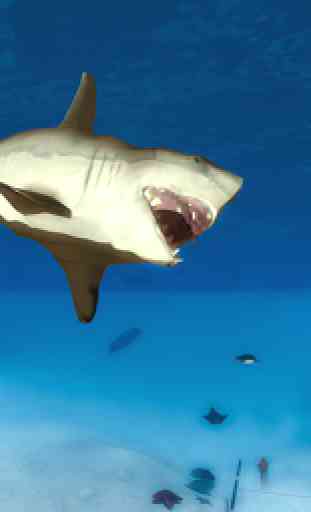 Shark Survival Simulator 2