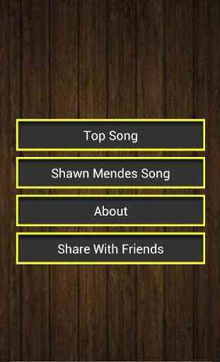 Shawn Mendes Top Songs 1