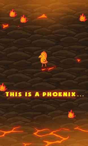 The Phoenix Evolution 1