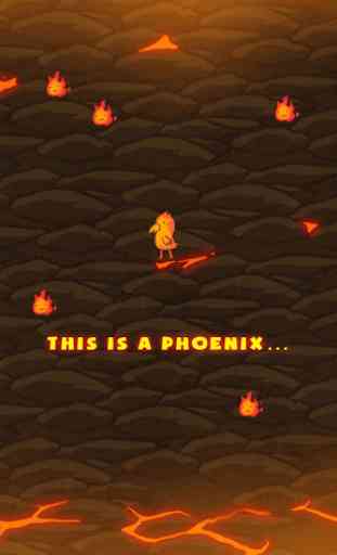 The Phoenix Evolution 4