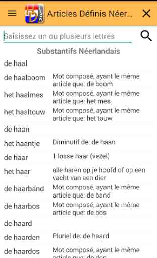 Articles Définis Néerlandais 2